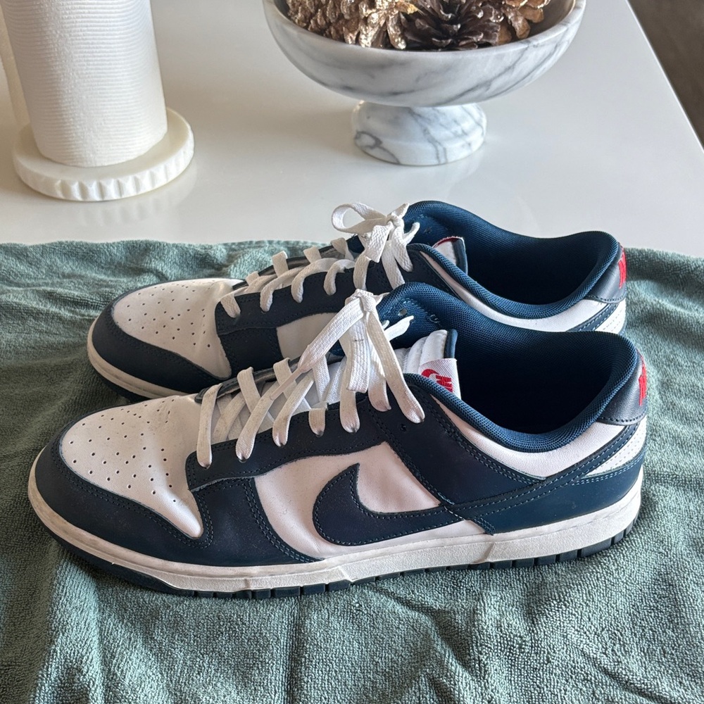 Nike Men's Navy and White Sneakers